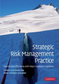 Strategic Risk Management Practice [DRM] - Peter Winther Schroder - ebook