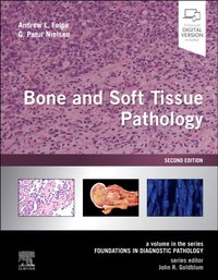 Bone and Soft Tissue Pathology E-Book [DRM] - G. Petur Nielsen - ebook
