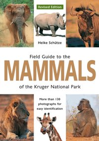 Field Guide to Mammals of the Kruger National Park [DRM] - Heike Schutze - ebook