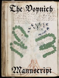 Voynich Manuscript [DRM] - Anonyme - ebook