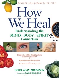 How We Heal, Revised and Expanded Edition [DRM] - David J. Pesek Ph.D. - ebook
