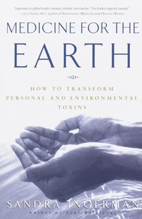 Medicine for the Earth [DRM] - Sandra Ingerman - ebook