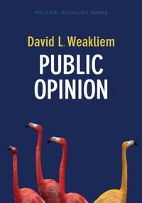 Public Opinion [DRM] - David L. Weakliem - ebook