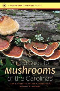 Field Guide to Mushrooms of the Carolinas [DRM] - Michael W. Hopping - ebook