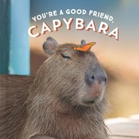 You're a Good Friend, Capybara [DRM] - Chronicle Books - ebook