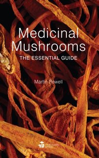 Medicinal Mushrooms [DRM] - Martin Powell - ebook