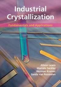 Industrial Crystallization [DRM] - Gerda van Rosmalen - ebook