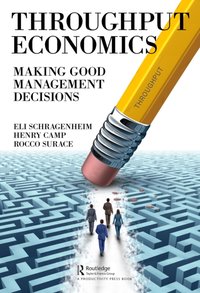 Throughput Economics [DRM] - Rocco Surace - ebook