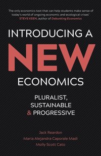 Introducing a New Economics [DRM] - Molly Scott Cato - ebook