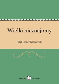 Wielki nieznajomy - Józef Ignacy Kraszewski - ebook