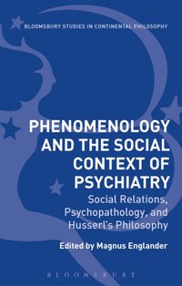 Phenomenology and the Social Context of Psychiatry [DRM] - Magnus Englander - ebook