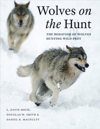 Wolves on the Hunt [DRM] - Daniel R. MacNulty - ebook