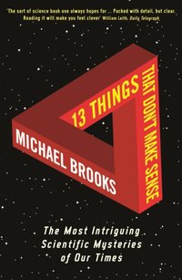 13 Things That Don't Make Sense [DRM] - Michael Brooks - ebook