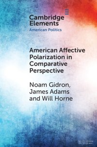 American Affective Polarization in Comparative Perspective [DRM] - James Adams - ebook