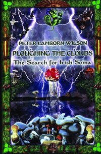 Ploughing the Clouds [DRM] - Peter Lamborn Wilson - ebook