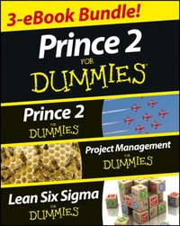PRINCE 2 For Dummies Three e-book Bundle: Prince 2 For Dummies, Project Management For Dummies & Lean Six Sigma For Dummies [DRM] - Nick Graham - ebook