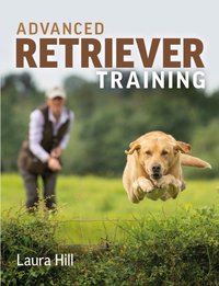 Advanced Retriever Training [DRM] - Laura Hill - ebook
