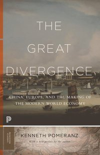 Great Divergence [DRM] - Kenneth Pomeranz - ebook