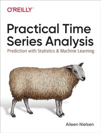 Practical Time Series Analysis [DRM] - Aileen Nielsen - ebook