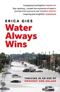 Water Always Wins [DRM] - Erica Gies - ebook