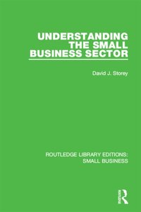 Understanding The Small Business Sector [DRM] - David J. Storey - ebook