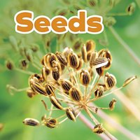 Seeds [DRM] - Marissa Kirkman - ebook