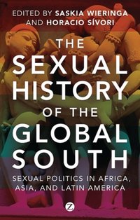 Sexual History of the Global South [DRM] - Horacio S vori - ebook