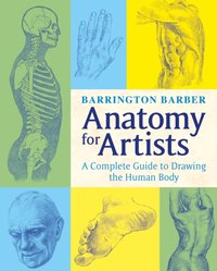 Anatomy for Artists [DRM] - Barrington Barber - ebook