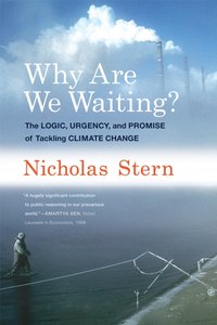 Why Are We Waiting? [DRM] - Nicholas Stern - ebook