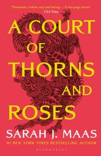 Court of Thorns and Roses [DRM] - Sarah J. Maas - ebook