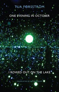 One Evening in October I Rowed Out on the Lake [DRM] - Tua Forsstrom - ebook