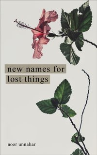 New Names for Lost Things [DRM] - Noor Unnahar - ebook