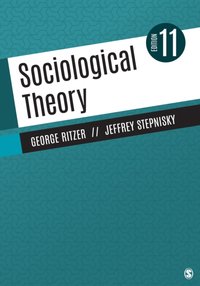 Sociological Theory [DRM] - Jeffrey Stepnisky - ebook