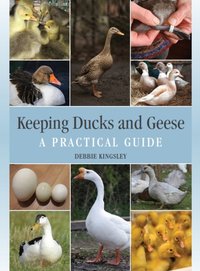 Keeping Ducks and Geese [DRM] - Debbie Kingsley - ebook