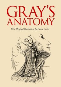 Gray's Anatomy [DRM] - George Davidson - ebook