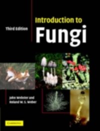 Introduction to Fungi [DRM] - John Webster - ebook