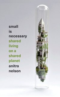 Small is Necessary [DRM] - Anitra Nelson - ebook