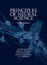 Principles of Neural Science, Fifth Edition [DRM] - A. J. Hudspeth - ebook