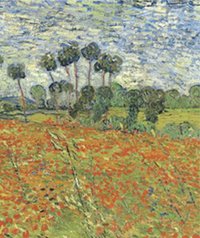 Biology of Plants [DRM] - Ray F. Evert - ebook