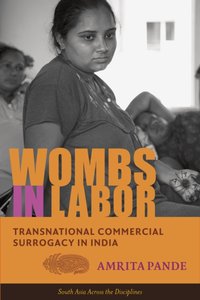 Wombs in Labor [DRM] - Amrita Pande - ebook