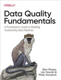 Data Quality Fundamentals [DRM] - Molly Vorwerck - ebook