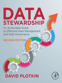 Data Stewardship [DRM] - David Plotkin - ebook