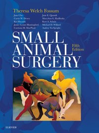 Small Animal Surgery E-Book [DRM] - Theresa Welch Fossum - ebook