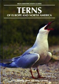 Terns of Europe and North America [DRM] - Klaus Malling Olsen - ebook