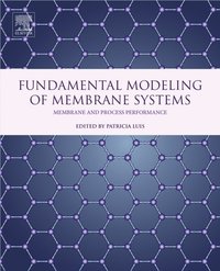 Fundamental Modeling of Membrane Systems [DRM] - Patricia Luis - ebook