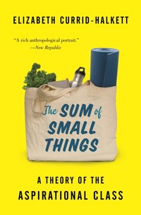 Sum of Small Things [DRM] - Elizabeth Currid-Halkett - ebook