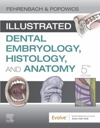 Illustrated Dental Embryology, Histology, and Anatomy E-Book [DRM] - Tracy Popowics - ebook