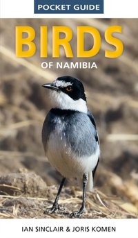 Pocket Guide to Birds of Namibia [DRM] - Ian Sinclair - ebook