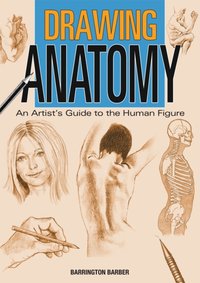 Drawing Anatomy [DRM] - Barrington Barber - ebook