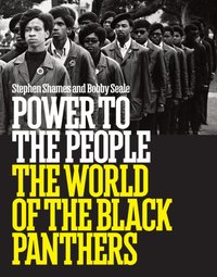 Power to the People [DRM] - Stephen Shames - ebook